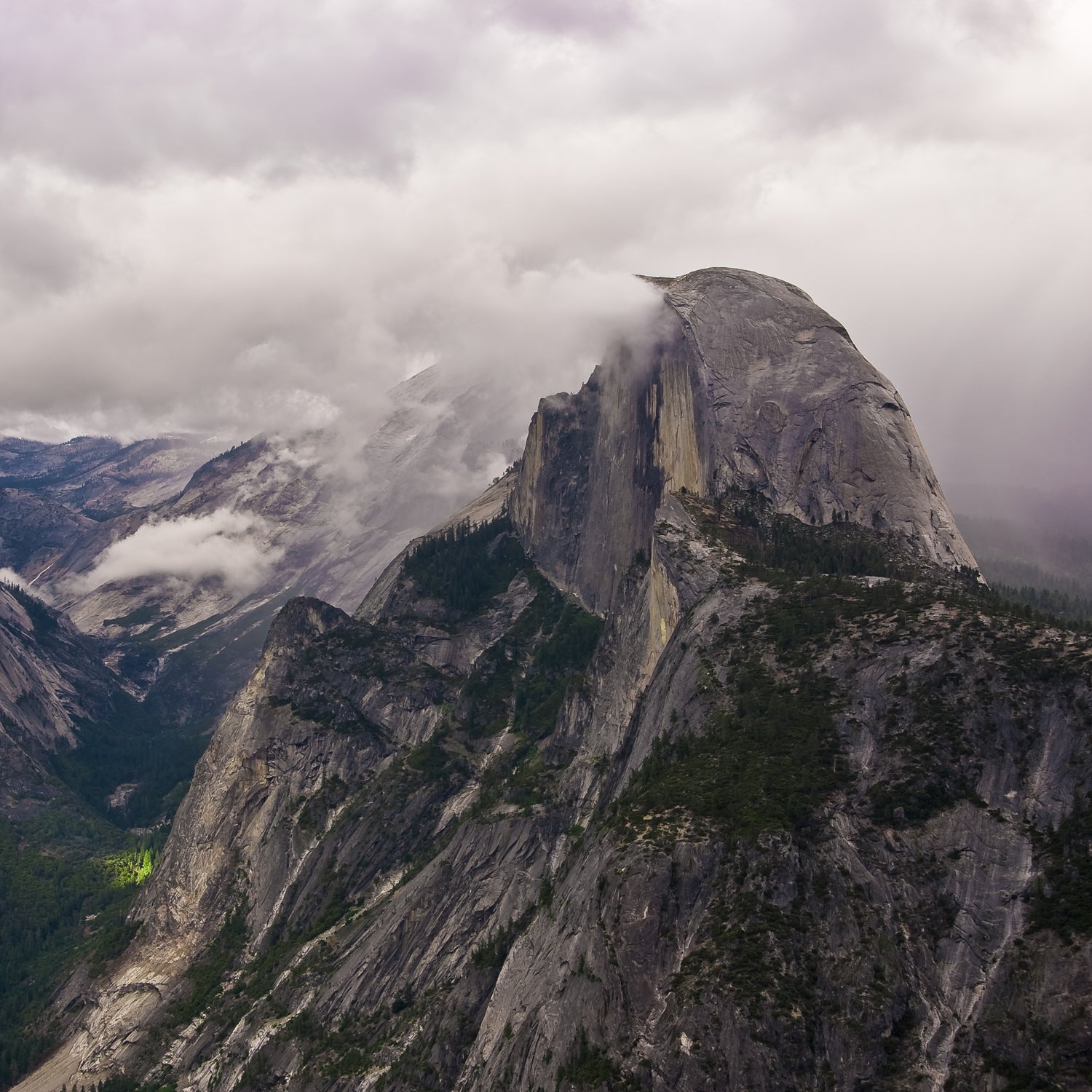 Information about how to prevent contracting the plague will be available at Yosemite National Park.