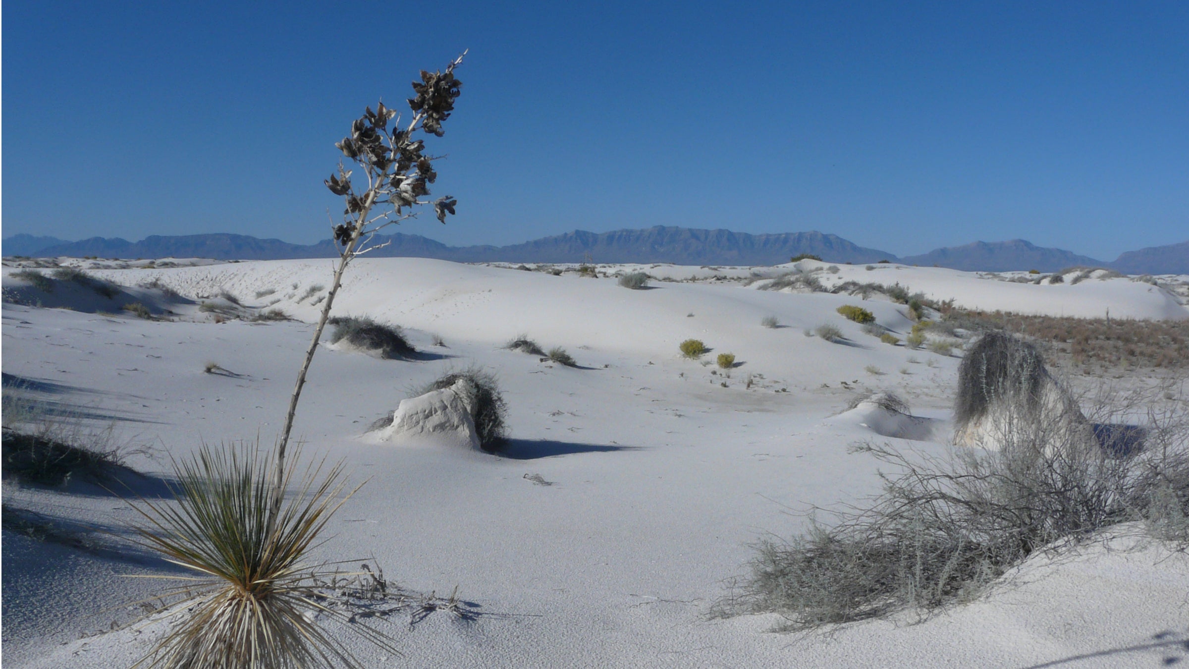 “The parents would take a drink, give him two drinks. They would take a drink, give him two drinks,” Otero County Sheriff Benny House told CNN affiliate KVIA. “I’m sure that’s a contributing factor on how he fared so well.”