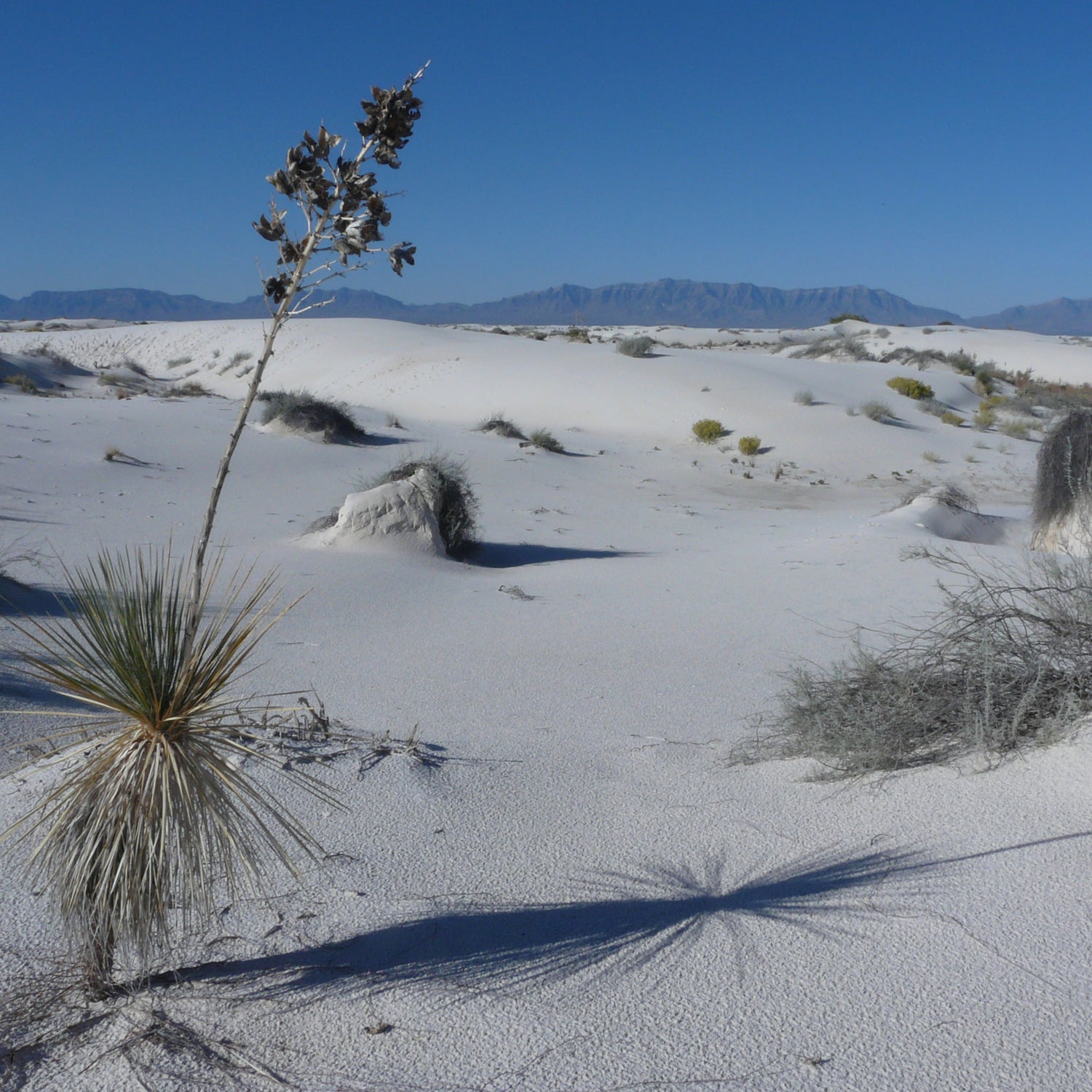 Couple Dies Hiking In White Sands