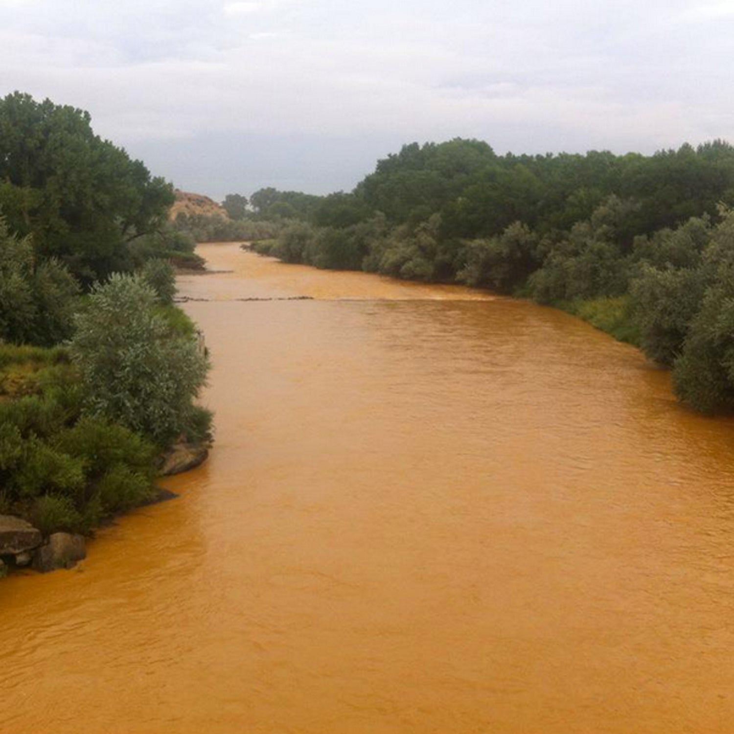 The EPA accidentally released 3 million gallons of water containing heavy metals into the Animas River—three times more than originally reported.