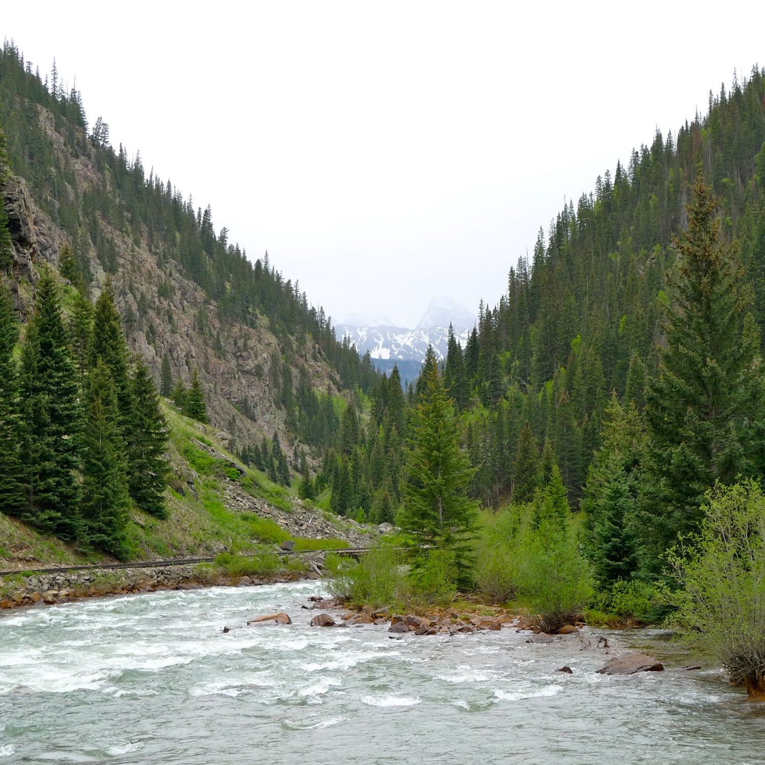 The Gold King Mine Spill that sent 3 million gallons of wastewater into the Animas River in August closed the Animas and the connecting San Juan River from drinking water, irrigation, and recreation purposes.