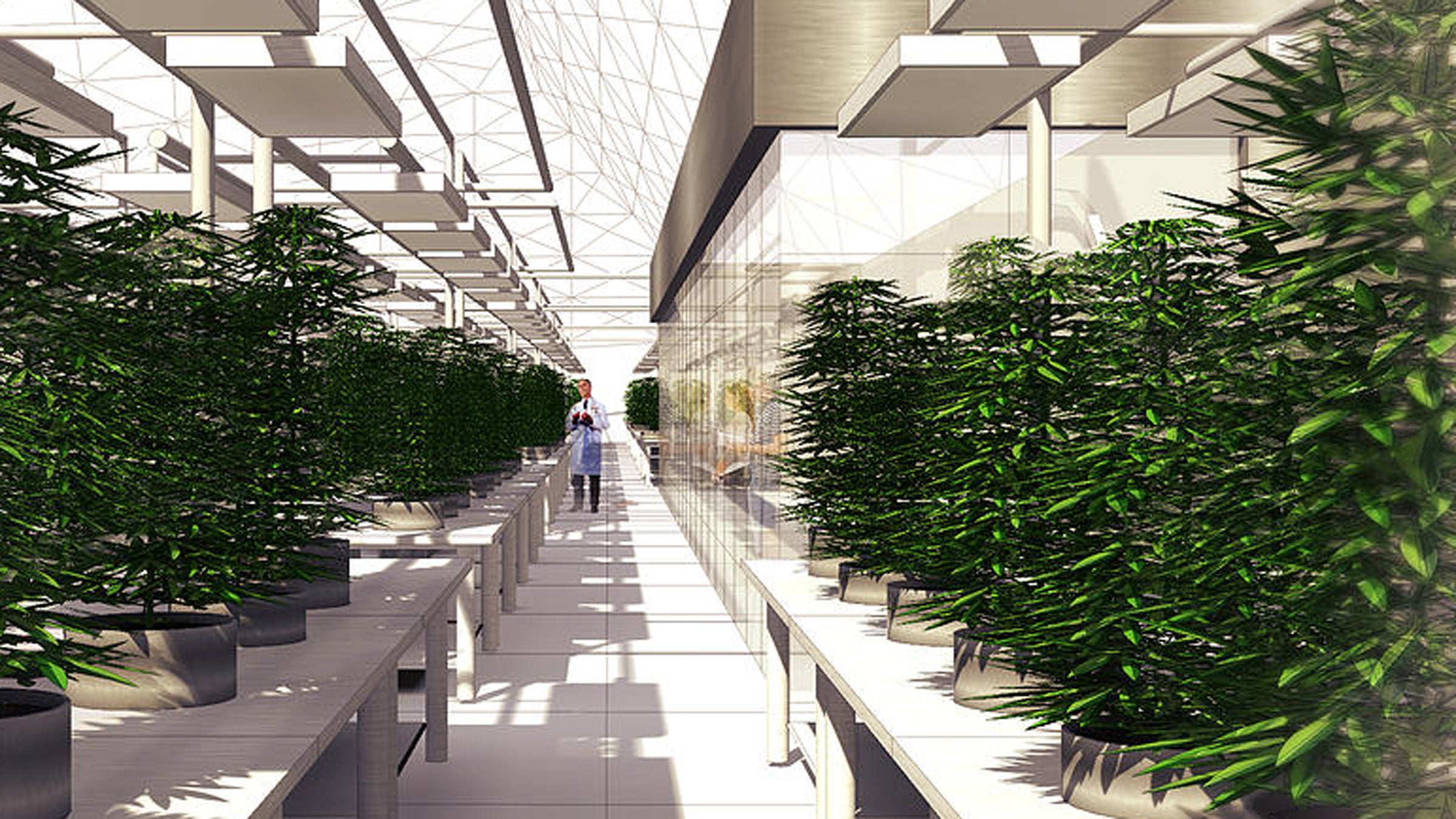 Colorado Cannabis Ranch will offer a tour of its legal grow facilities.