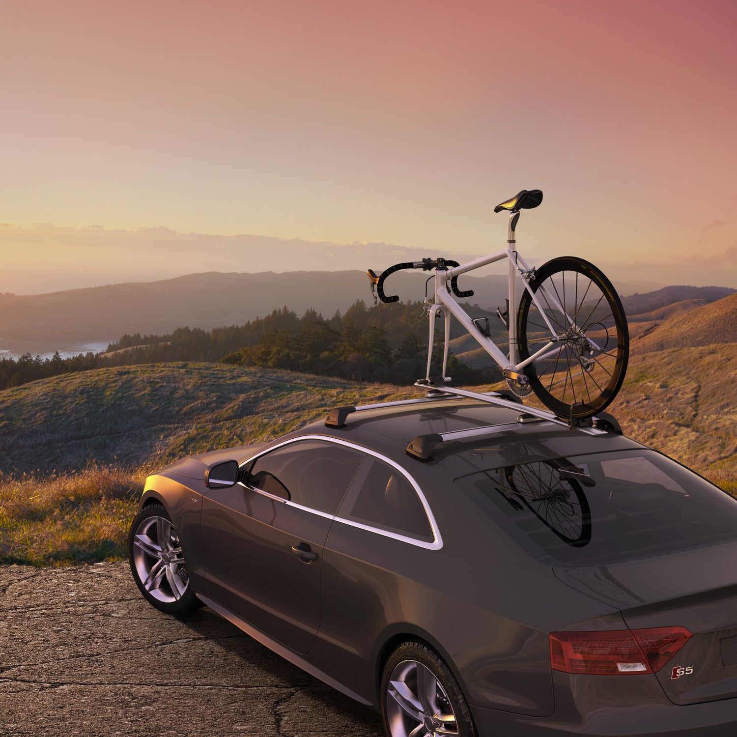 Audi roof bike discount rack