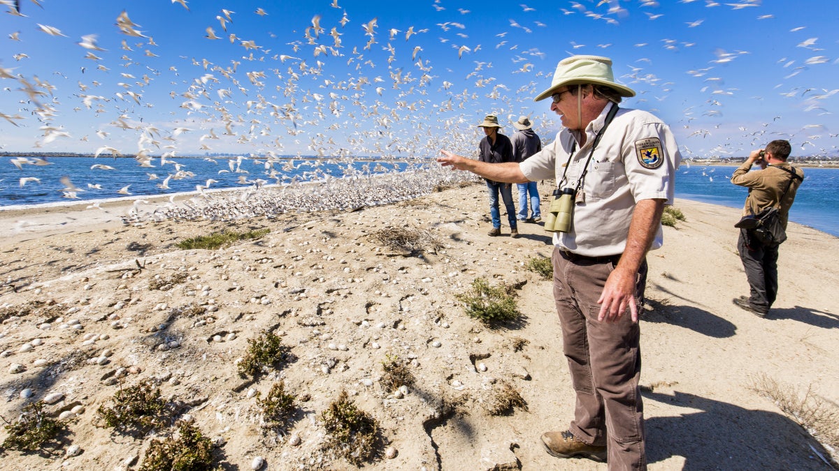 The Urban Wildlife Conservation Program Is the Best Outdoor Initiative You’ve Never Heard Of