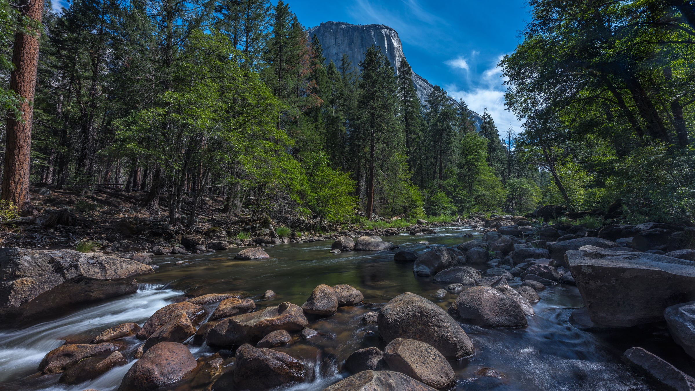 The Centers for Disease Control and Prevention (CDC) is conducting confirmatory testing on the most recent sick visitor. The U.S. Forest Service has examined other parts of the park that the patient visited.