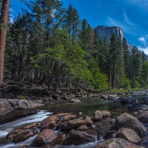 The Centers for Disease Control and Prevention (CDC) is conducting confirmatory testing on the sick most recent visitor, while the National Forest Service has examined other parts of the park that the patient visited.