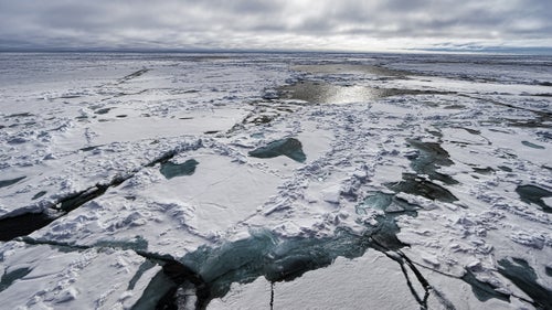Two days out from Murmansk, we start to encounter sea-ice鈥攁 welcome juxtaposition from the cold-war era facilities of the Peninsula. Each degree of latitude brought more ice and more mystery. As the ice thickens, we enter the dominion the Polar Bear.