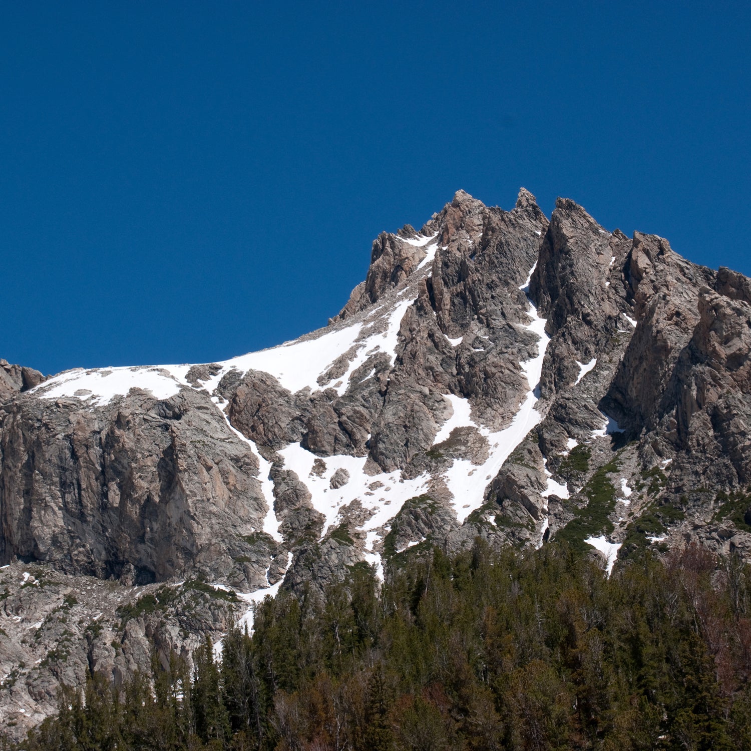 The route is rated a 5.4 and is frequently climbed without ropes, but area they fell in had much more difficult terrain than the established route.