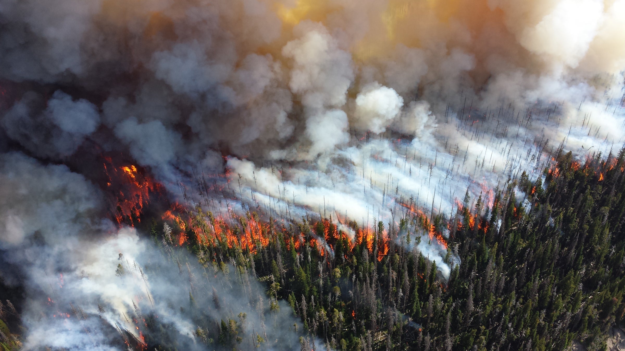 This year, the U.S. is on track to have the most acres burned in wildfires ever.