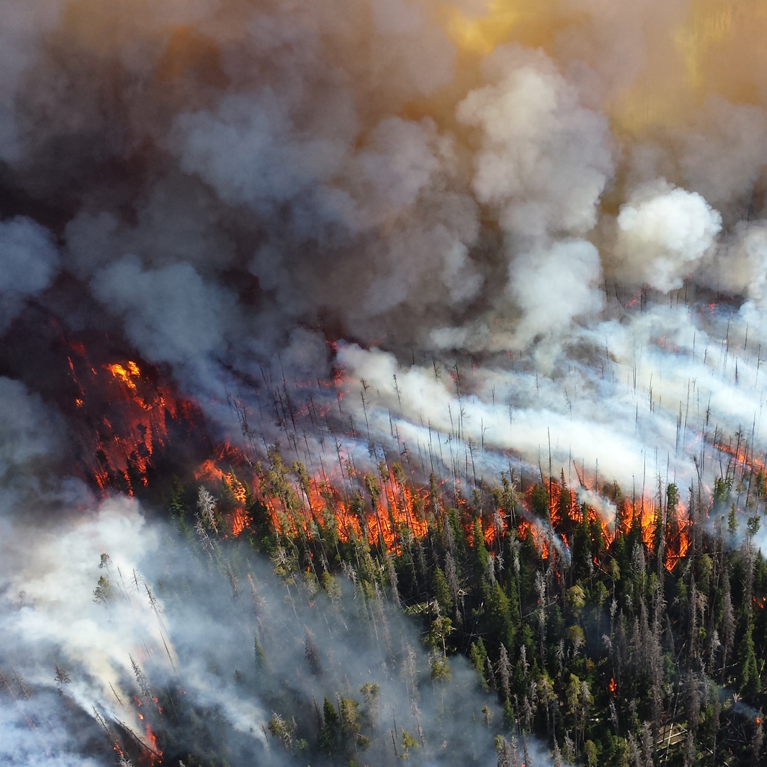 This year, the U.S. is on track to have the most acres burned in wildfires ever.