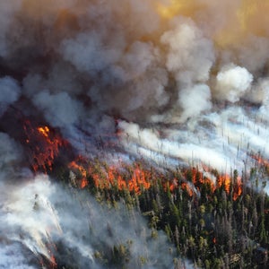This year, the U.S. is on track to have the most acres burned in wildfires ever.