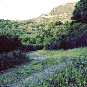 Krause's spot in the Mayacamas Mountains.