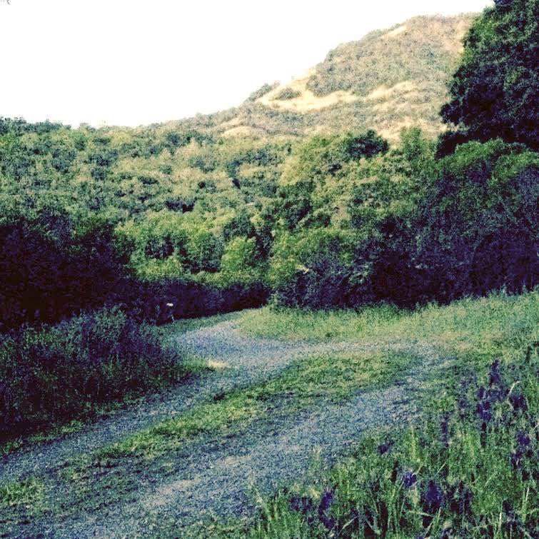Krause's spot in the Mayacamas Mountains.