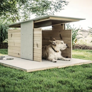 The Puphaus comes with built-in food and water bowls and fits dogs 50 pounds or less.