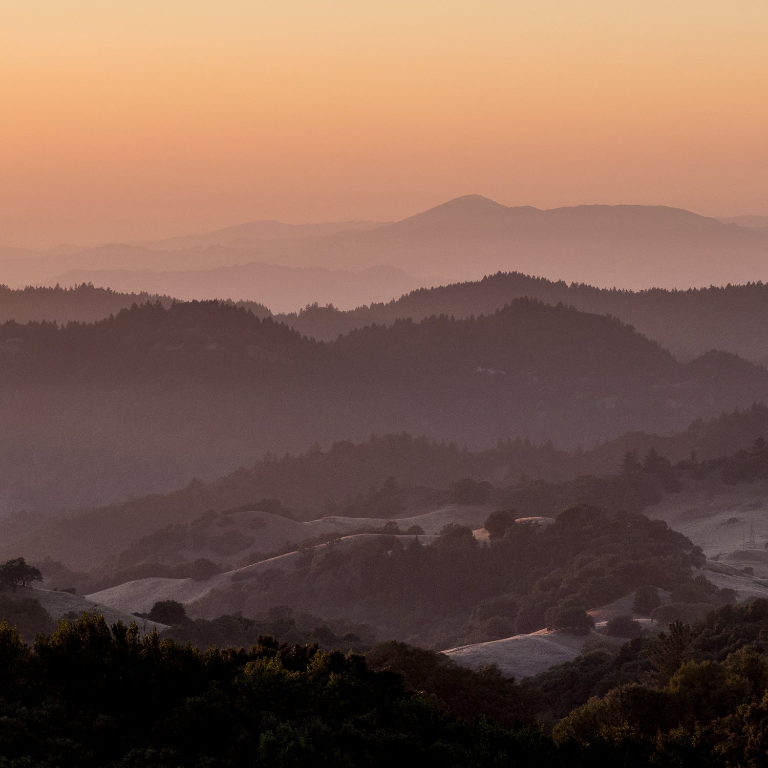 Bernie Krause has noticed a decline in the sounds of water in Sugarloaf Ridge State Park.
