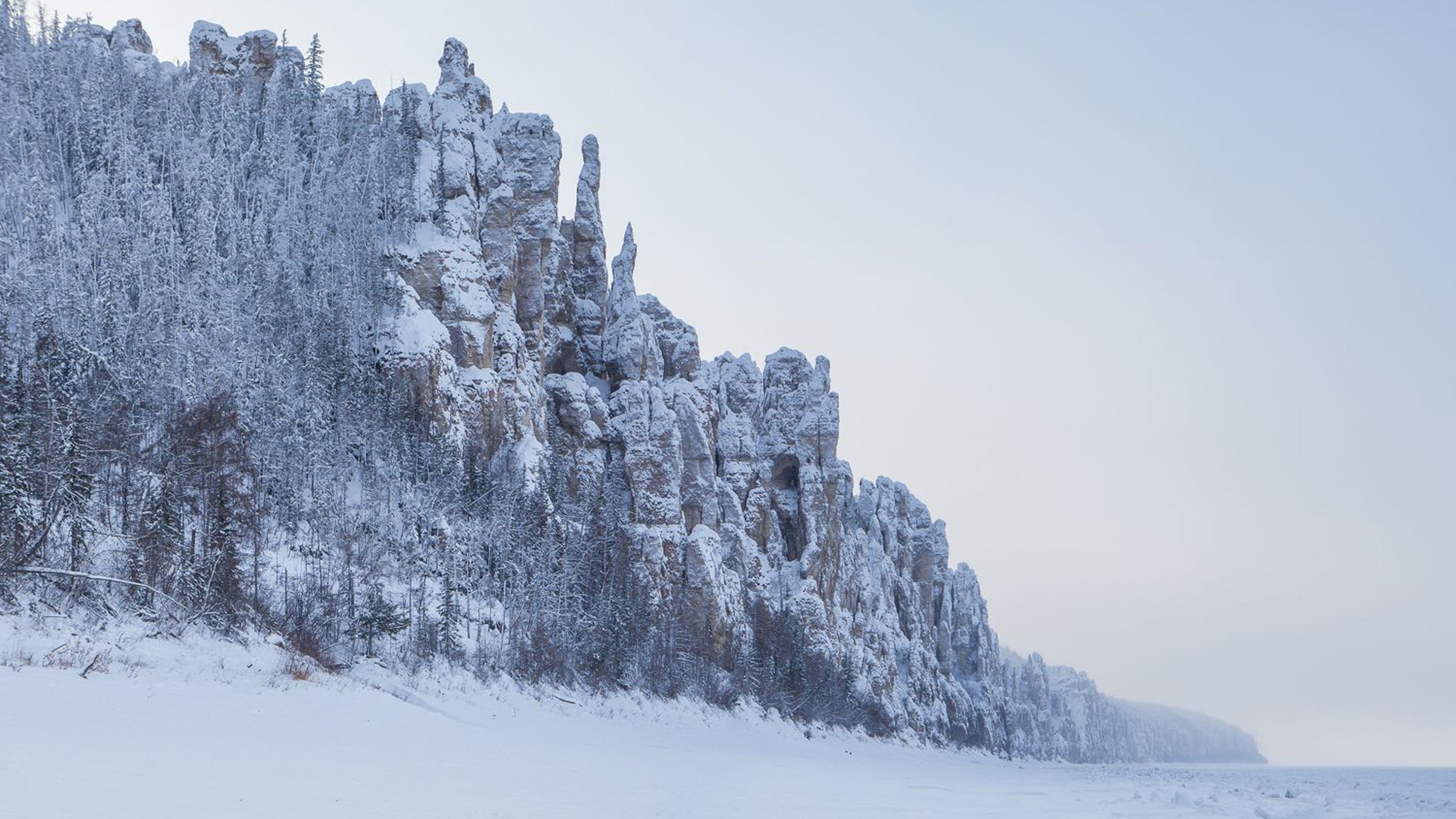 Scientists have discovered an ancient giant virus in the permafrost of Siberia.