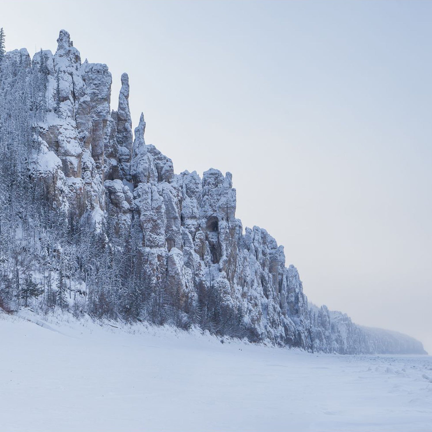 Scientists have discovered an ancient giant virus in the permafrost of Siberia.