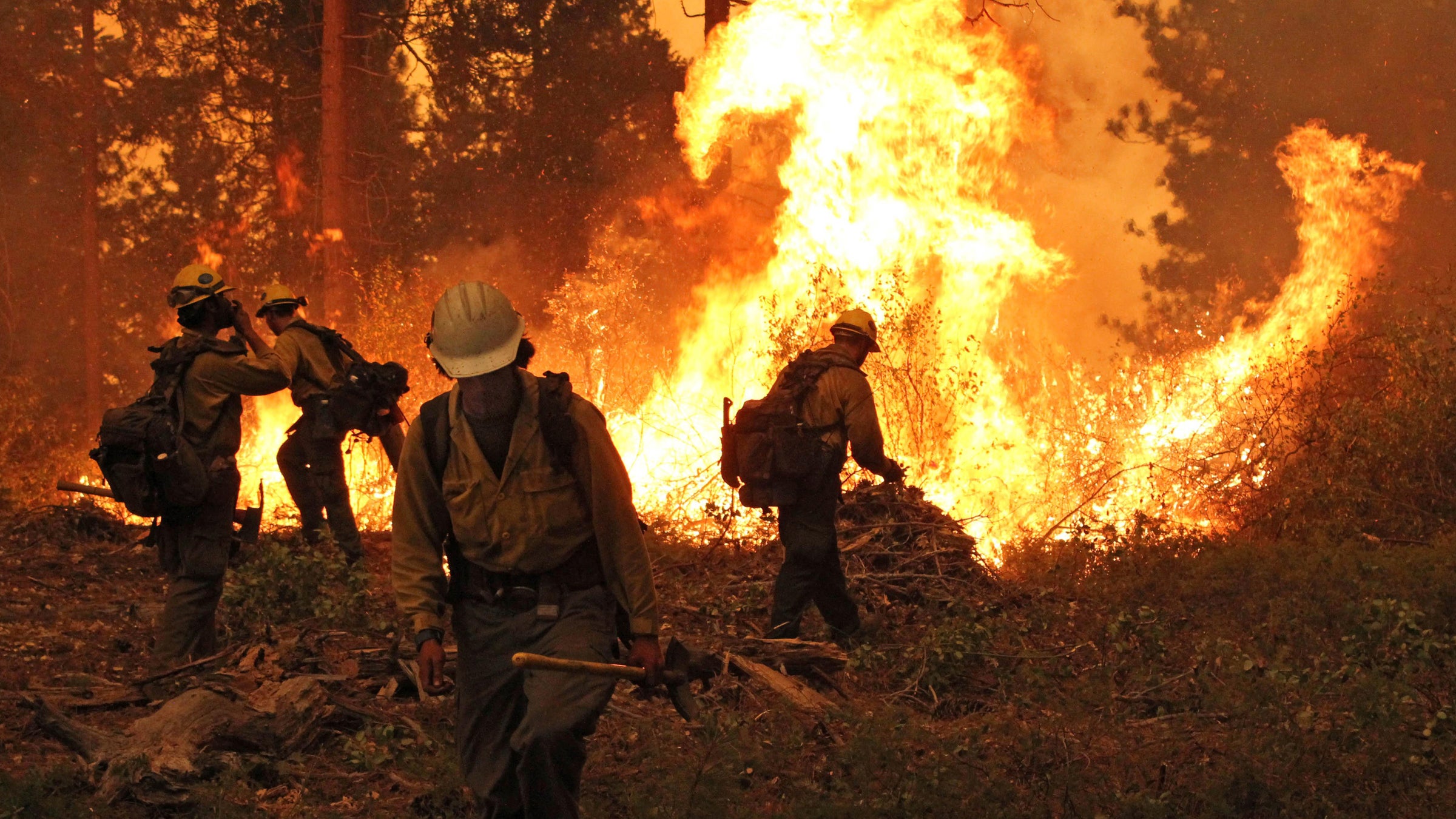 “We’re really in a battle with nature,” Brown told the Los Angeles Times, “and nature is more powerful than we are.”
