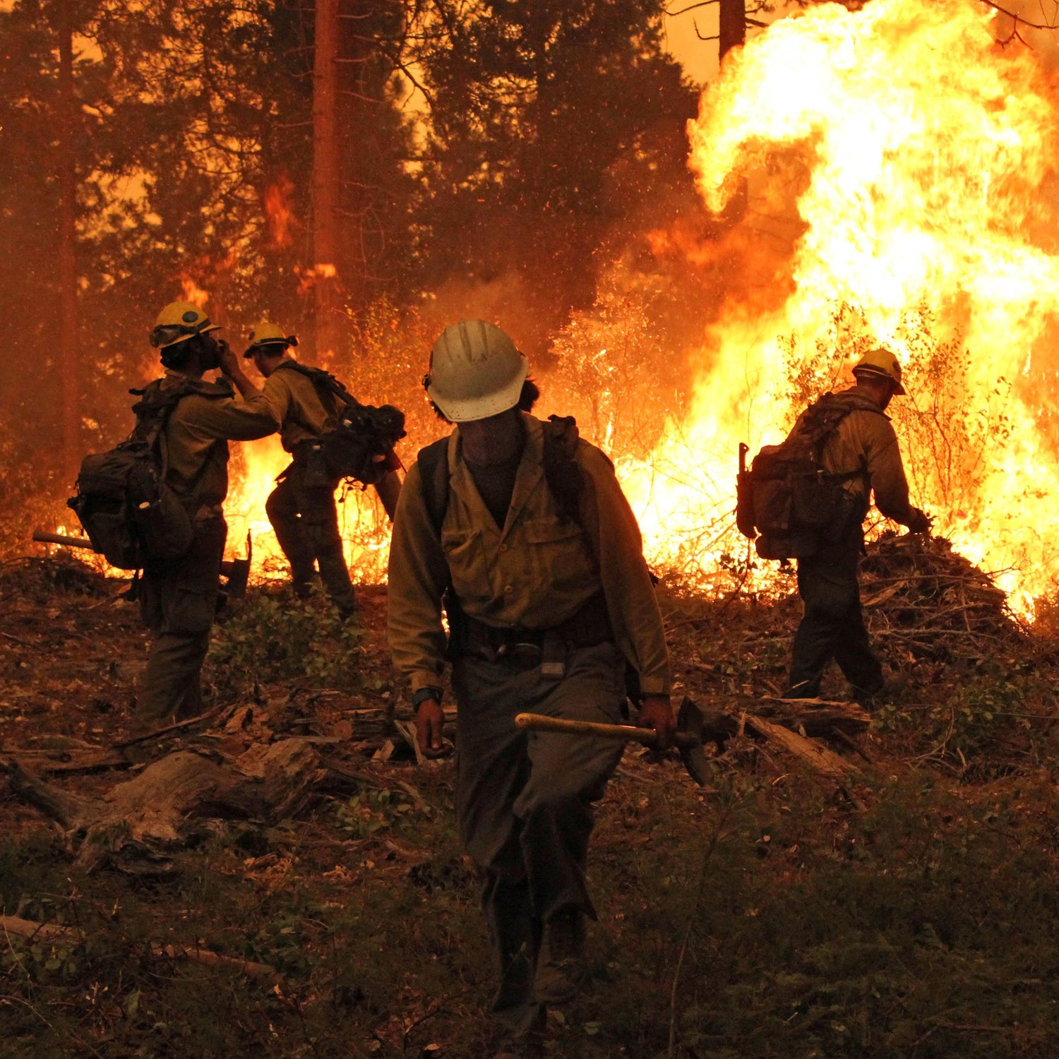 “We’re really in a battle with nature,” Brown told the Los Angeles Times, “and nature is more powerful than we are.”