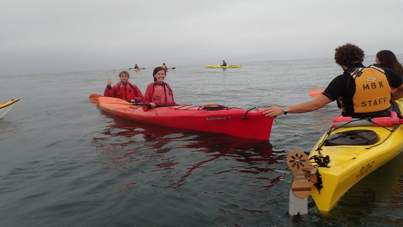 Tom Mustill and Charlotte Kinloch safe and sound after a humpback whale landed on their kayak.