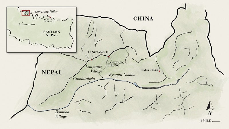 Map by Julia Amirzadov