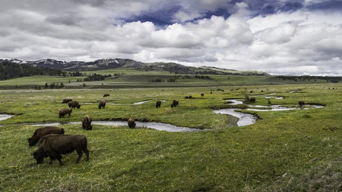 Congress has until the end of September to keep the Land and Water Conservation Fund from expiring.
