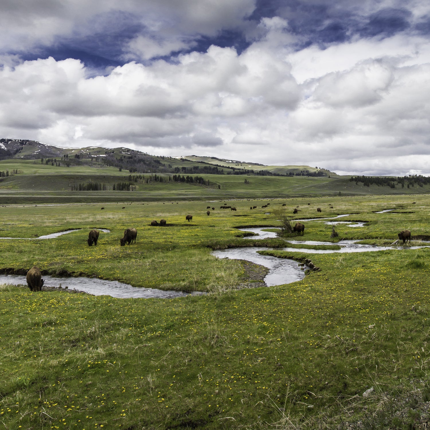 Congress has until the end of September to keep the Land and Water Conservation Fund from expiring.