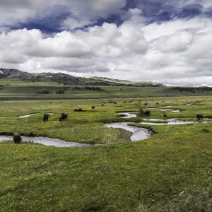 Congress has until the end of September to keep the Land and Water Conservation Fund from expiring.