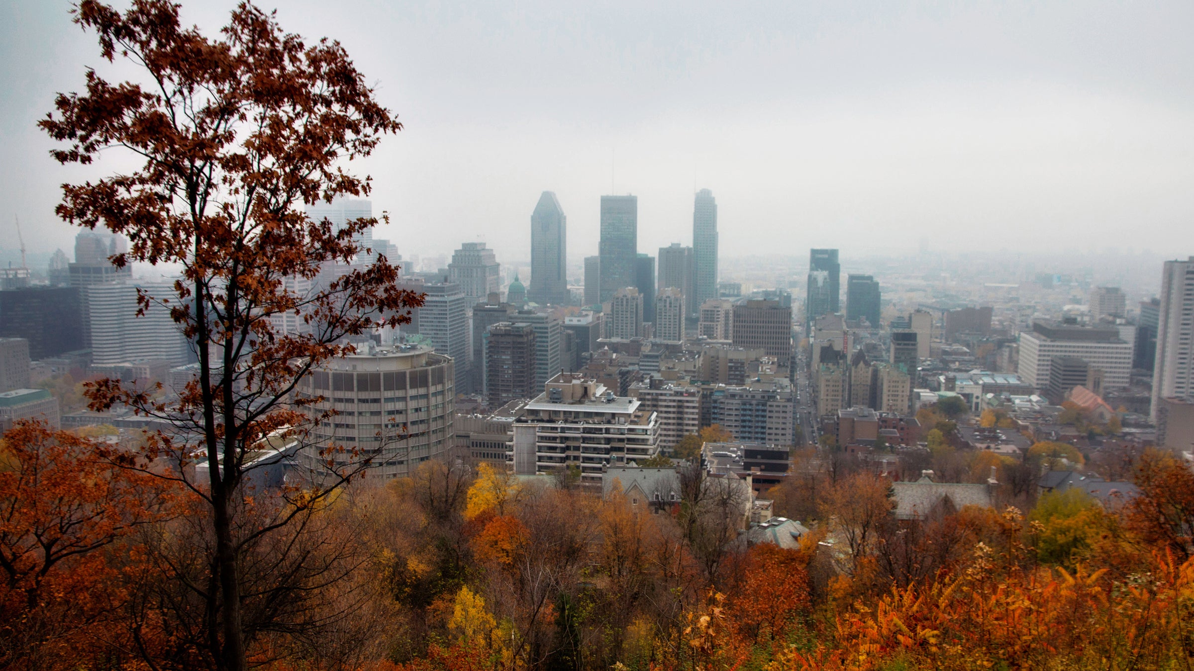 Two runners suffered heart attacks at Sunday's race in Montreal.
