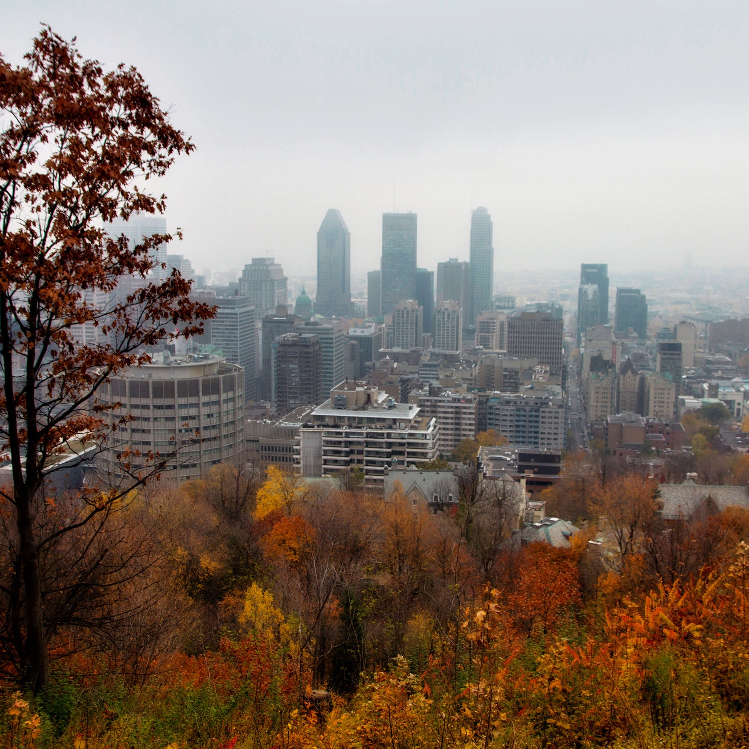 Two runners suffered heart attacks at Sunday's race in Montreal.