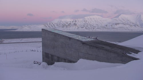 “If something were to happen to one of those collections around the world, they can always come back to the seed vault and retrieve what might have been lost.”