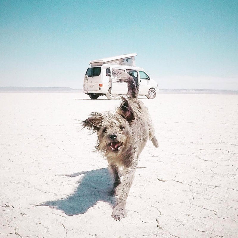 @alisontravels: Then we land on the moon...#vanlife #maxtravels