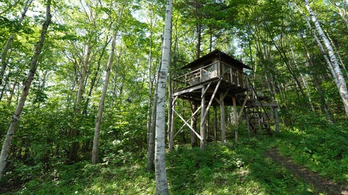 It's your tree house, too. Build it to last.
