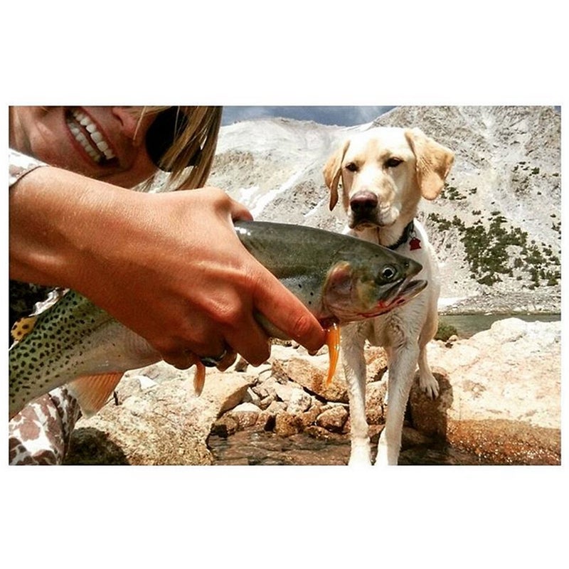 @jila_monster: While Owen spent his time bagging scree piles (O'Calkens -11,500ft), Gus and I were slaying these beasts.