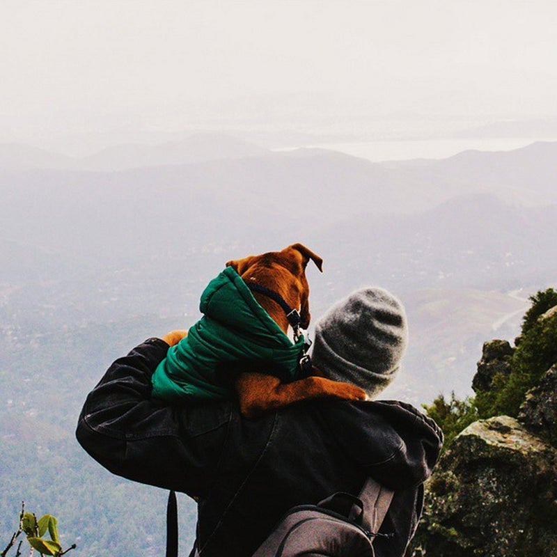 @j_watson11: I think he likes me...hanging with Moose up on #mttam with @speakingofjulia ...no dogs were harmed.