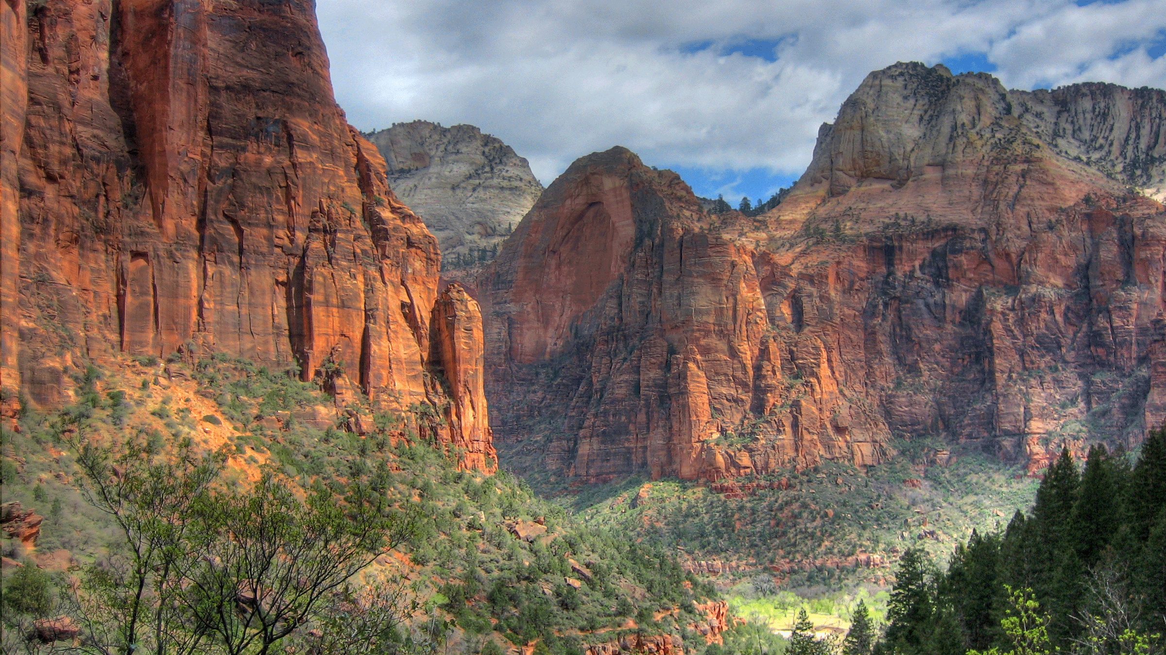 “We also want to know did we do something wrong?” Cindy Purcell, chief park ranger at Zion National Park, told Fox 13.