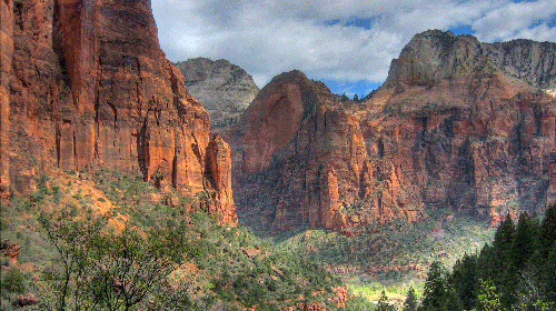 “We also want to know did we do something wrong?” Cindy Purcell, chief park ranger at Zion National Park, told Fox 13.