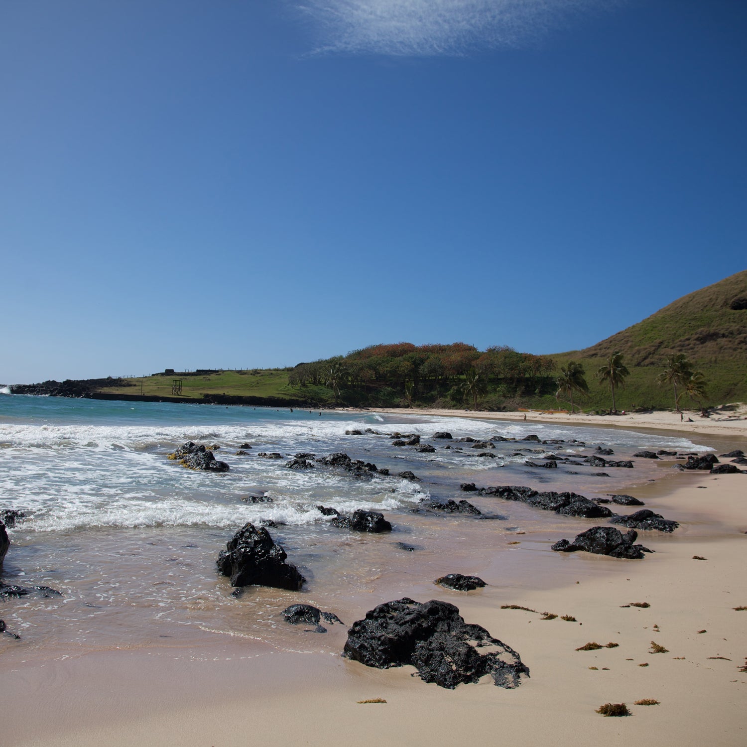 Chile creates 243,630 square-mile marine reserve off the coast of Easter Island in the Pacific Ocean.