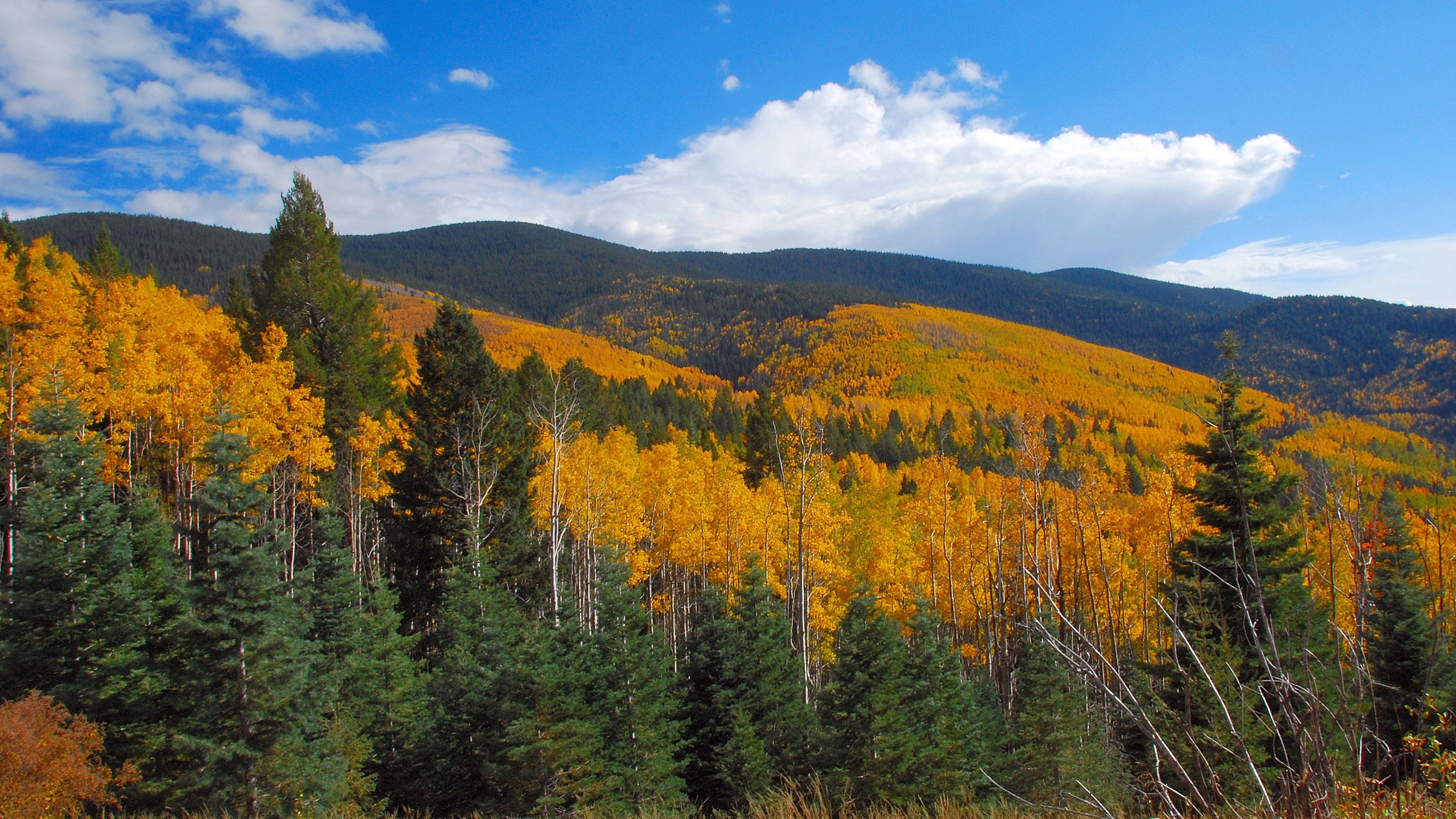 The U.S. Forest Service is offering a $5,000 reward for information leading to the arrest and conviction of the guilty party.