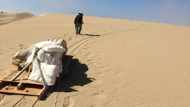 Excavating the City of the Pharaoh.
