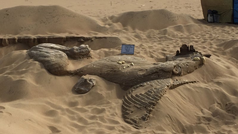 The sphinx before excavation.