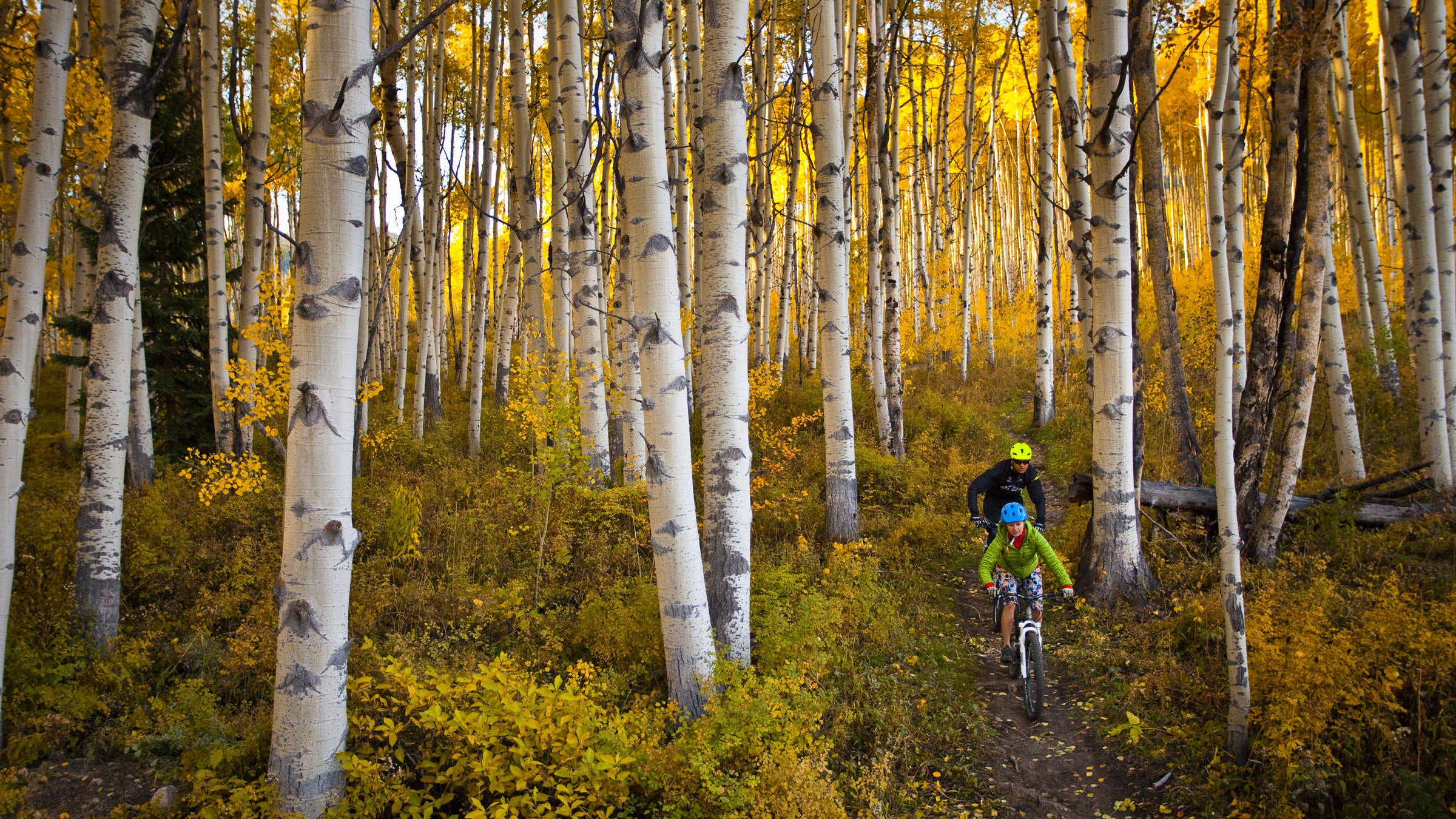 Take a fast-paced approach to leaf-peeping in Aspen, Colorado.