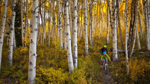Take a fast-paced approach to leaf-peeping in Aspen, Colorado.