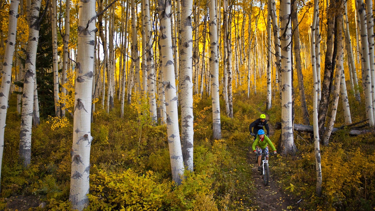 The 10 Best Spots to Catch Fall Colors