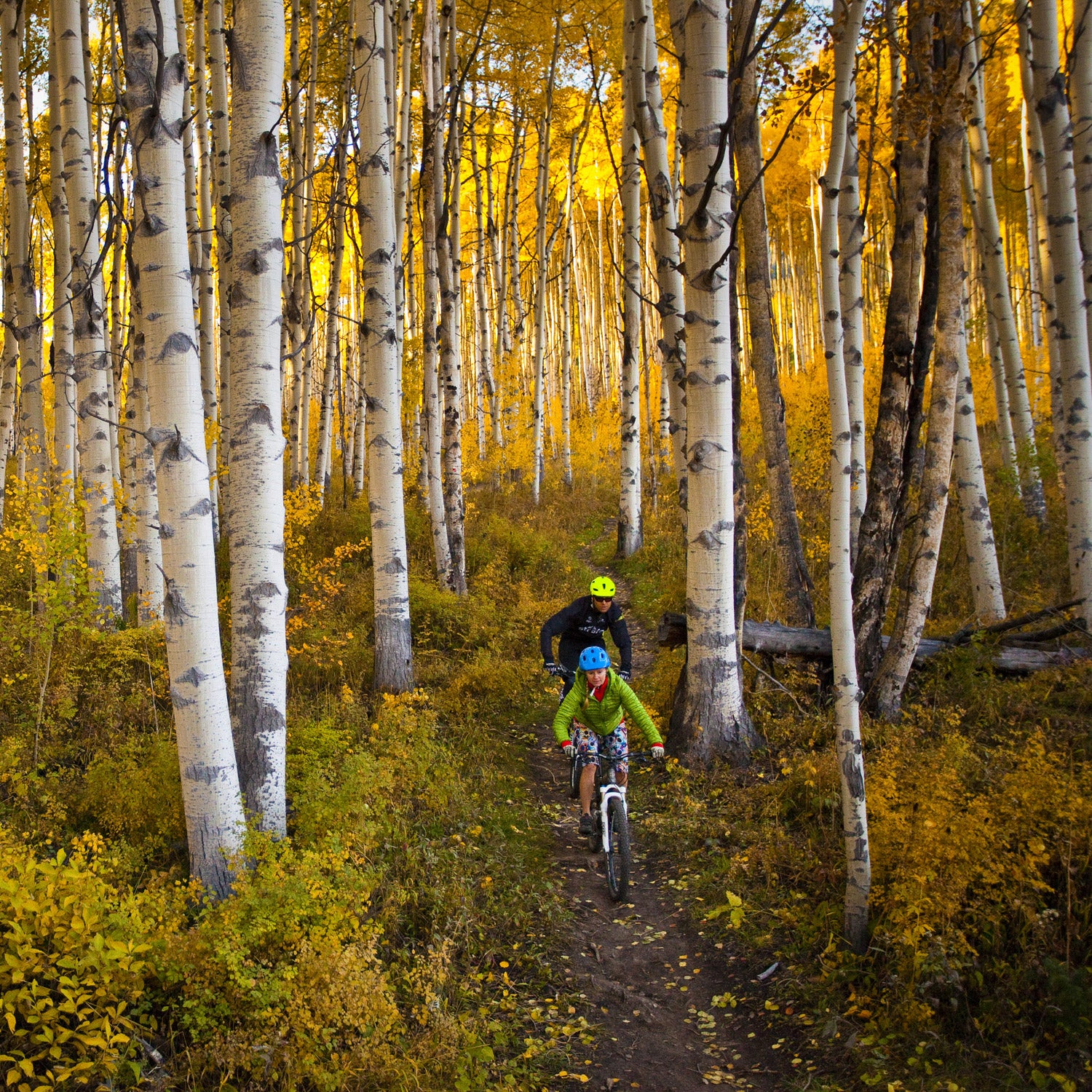 Take a fast-paced approach to leaf-peeping in Aspen, Colorado.