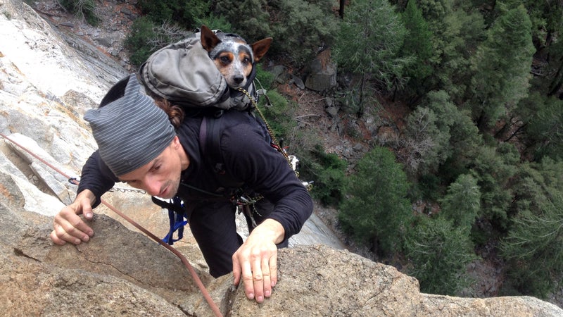 Dean climbing up Leaning Tower in Yosemite with Whisper. (Photo by Graham Hunt)