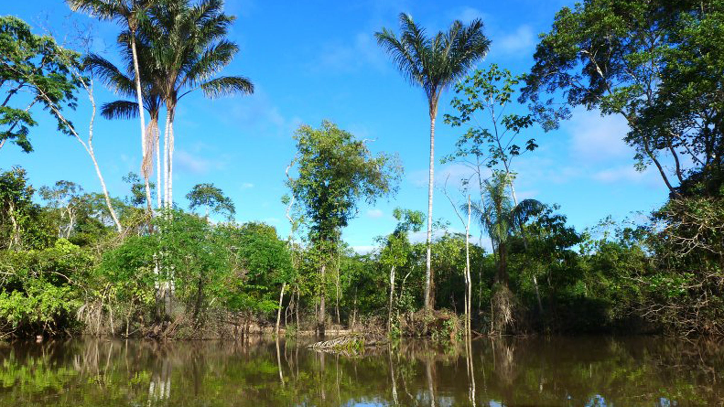 If successful, the two brothers will be the first to cycle the entire Amazon River.