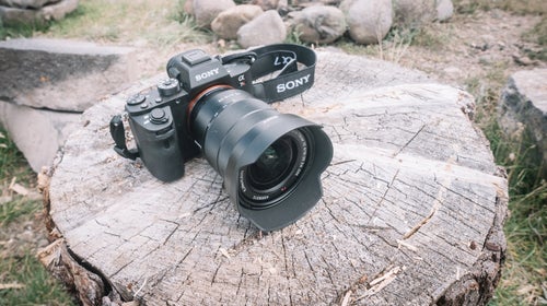 The a7RII is the first mirrorless camera that actually bests top-shelf DSLRs. Oh, and it's about half the size.