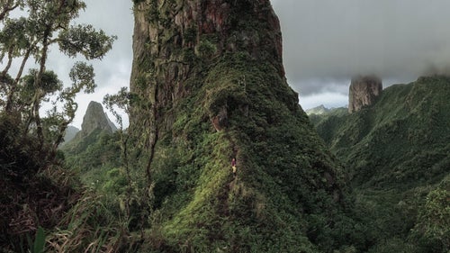 Libecki and Payne cut a trail to Poumaka and take in the view of the tower from the base for this first time. Everything was so dense and the jungle seemed to climb right up the tower with the same overgrown ferocity it possessed on the ground.