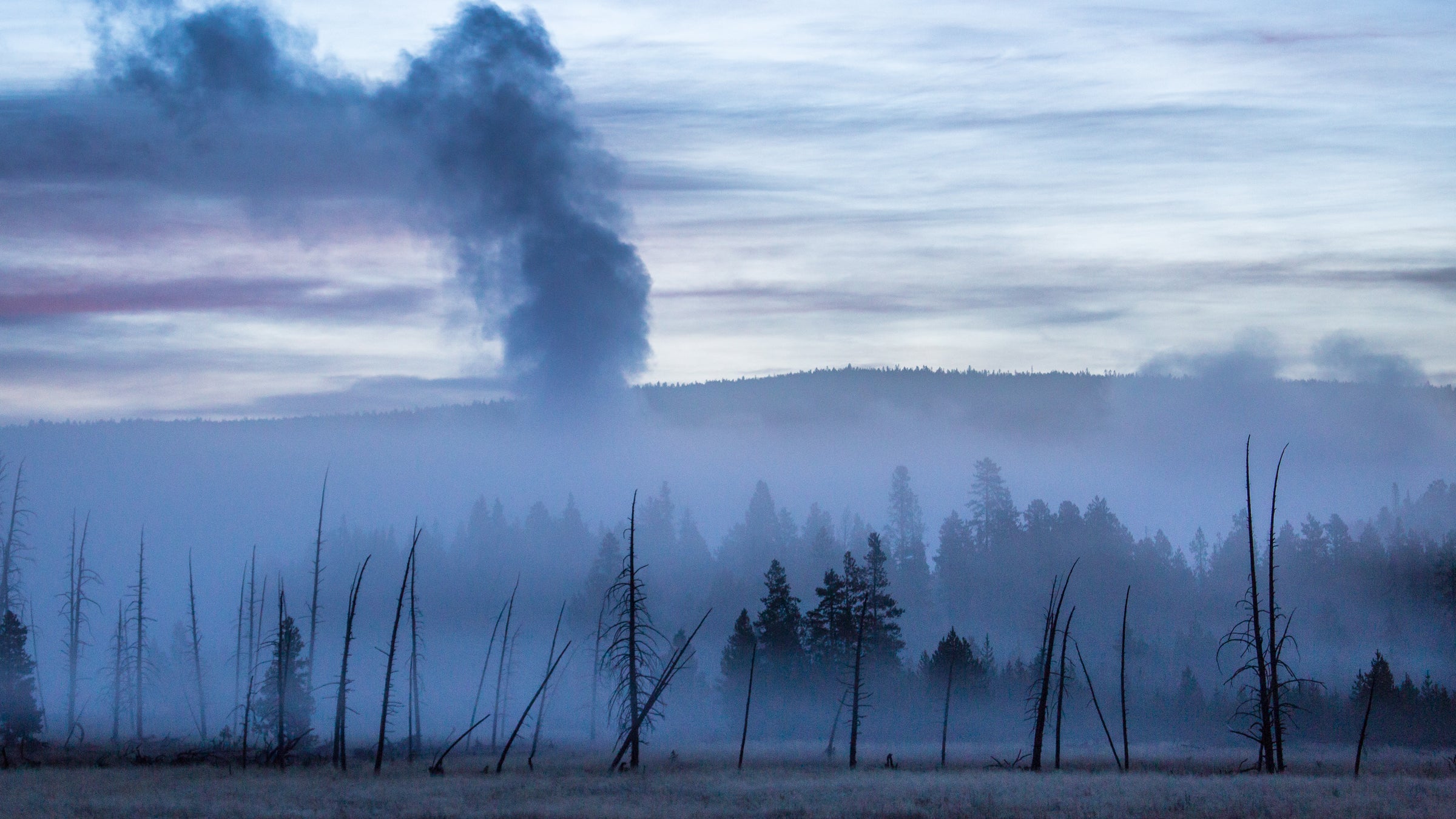 “We are delighted to see that more and more visitors are making their way to Yellowstone to experience the park.”